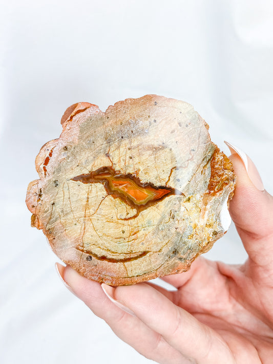 Agate ThunderEgg Bird 139g