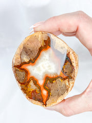 Agate ThunderEgg 255g
