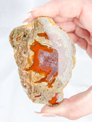 Agate ThunderEgg 163g