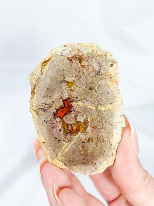 Agate ThunderEgg 129g