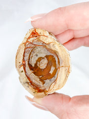 Agate ThunderEgg 66g