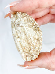 Agate ThunderEgg 66g