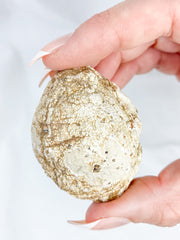 Agate ThunderEgg 66g