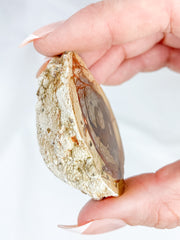 Agate ThunderEgg 66g