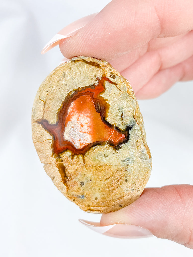 Agate ThunderEgg 43g