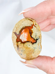 Agate ThunderEgg 43g