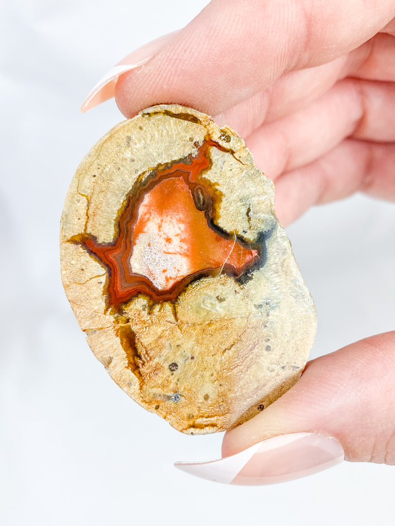 Agate ThunderEgg 43g