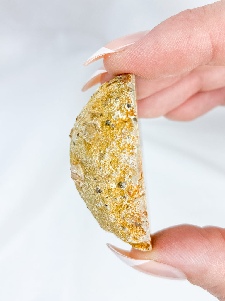 Agate ThunderEgg 43g