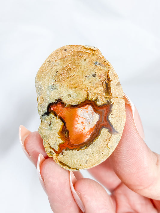 Agate ThunderEgg 43g