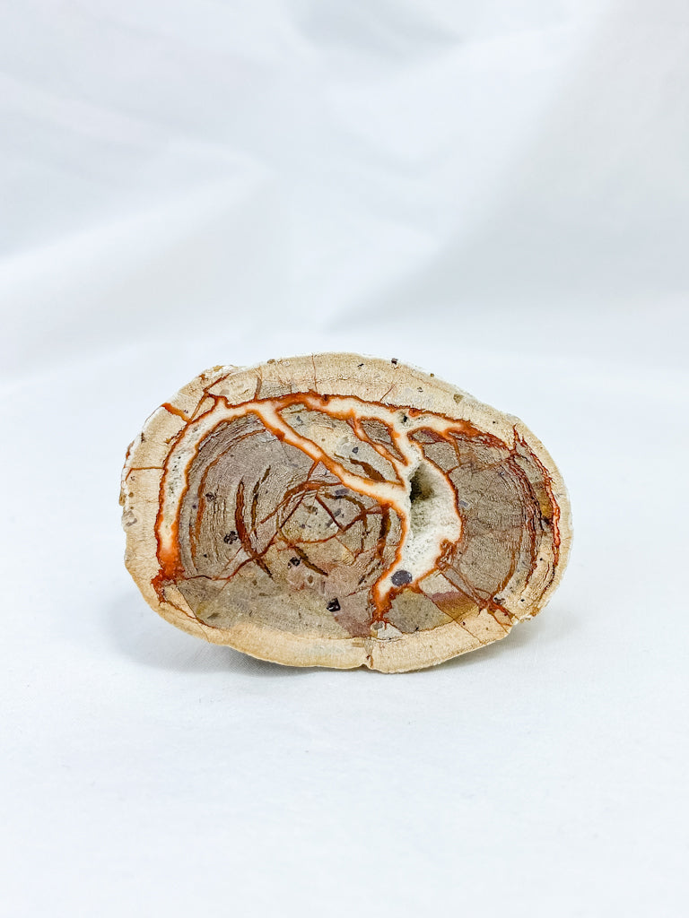 Agate ThunderEgg 71g