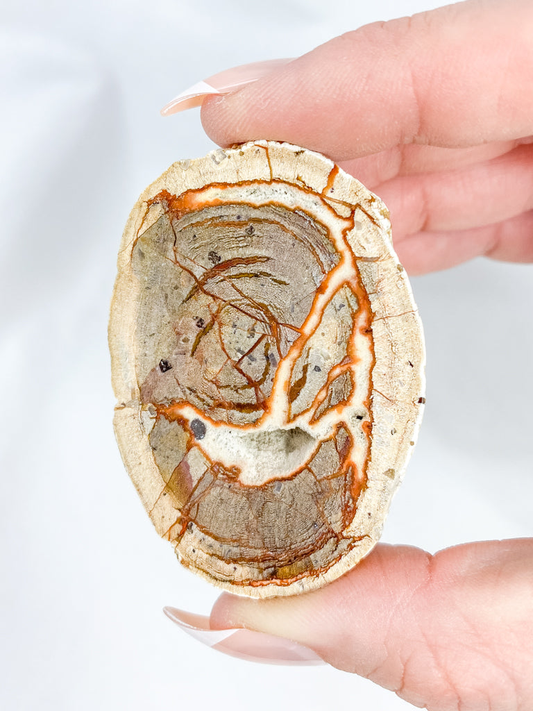 Agate ThunderEgg 71g