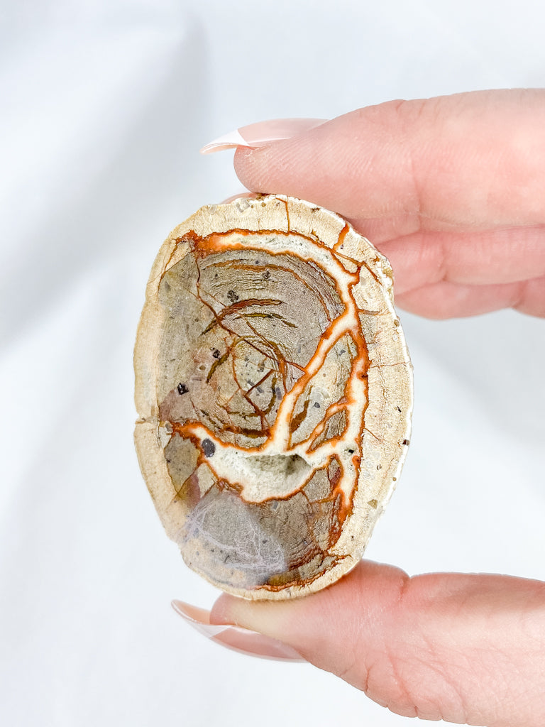 Agate ThunderEgg 71g