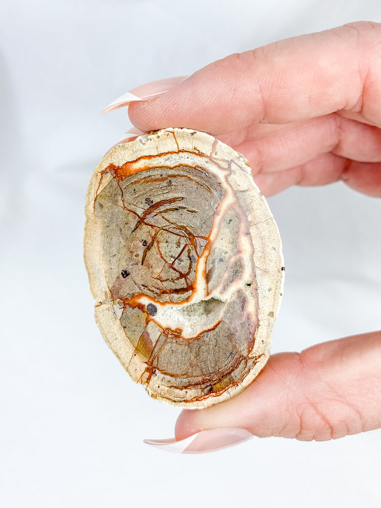 Agate ThunderEgg 71g