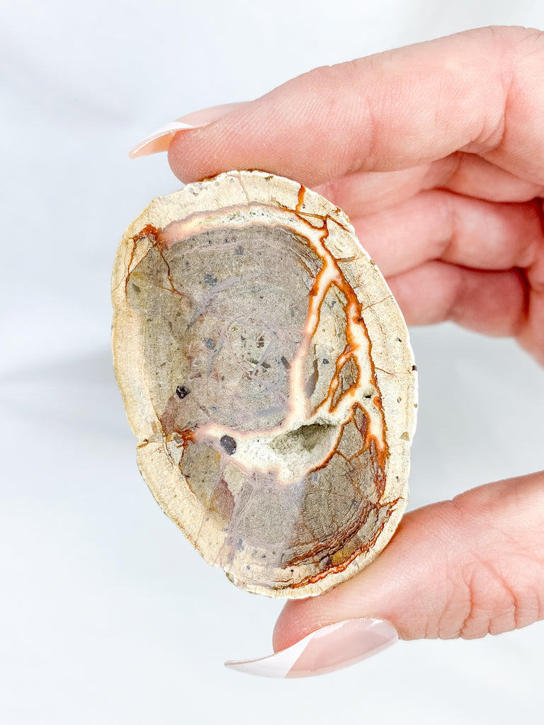 Agate ThunderEgg 71g