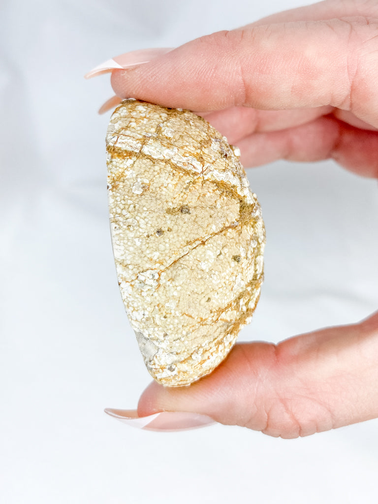 Agate ThunderEgg 71g