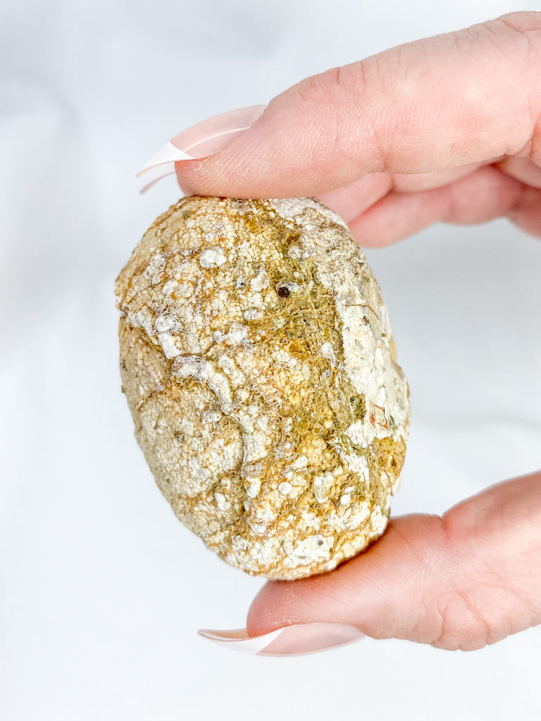 Agate ThunderEgg 71g