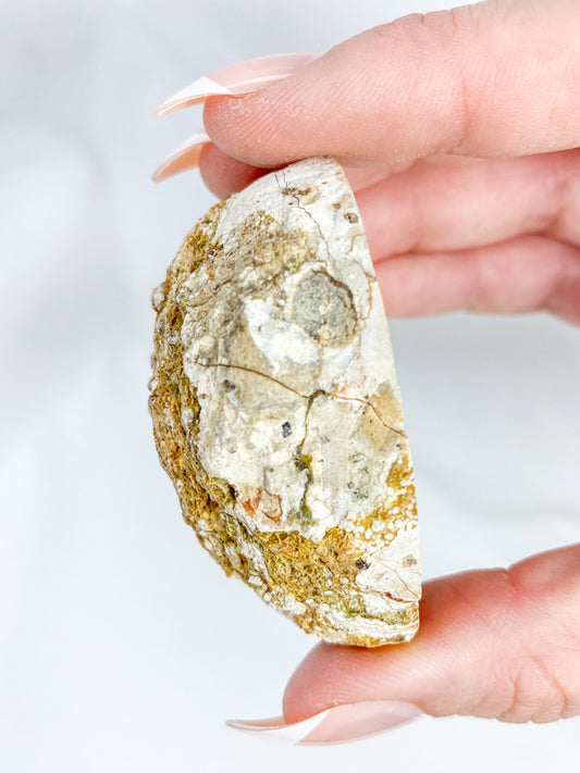 Agate ThunderEgg 71g