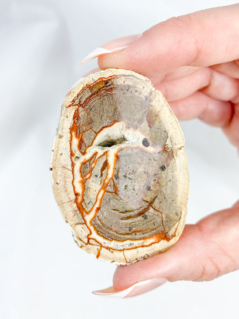 Agate ThunderEgg 71g