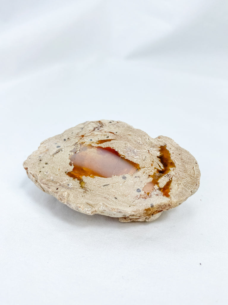 Agate ThunderEgg 61g