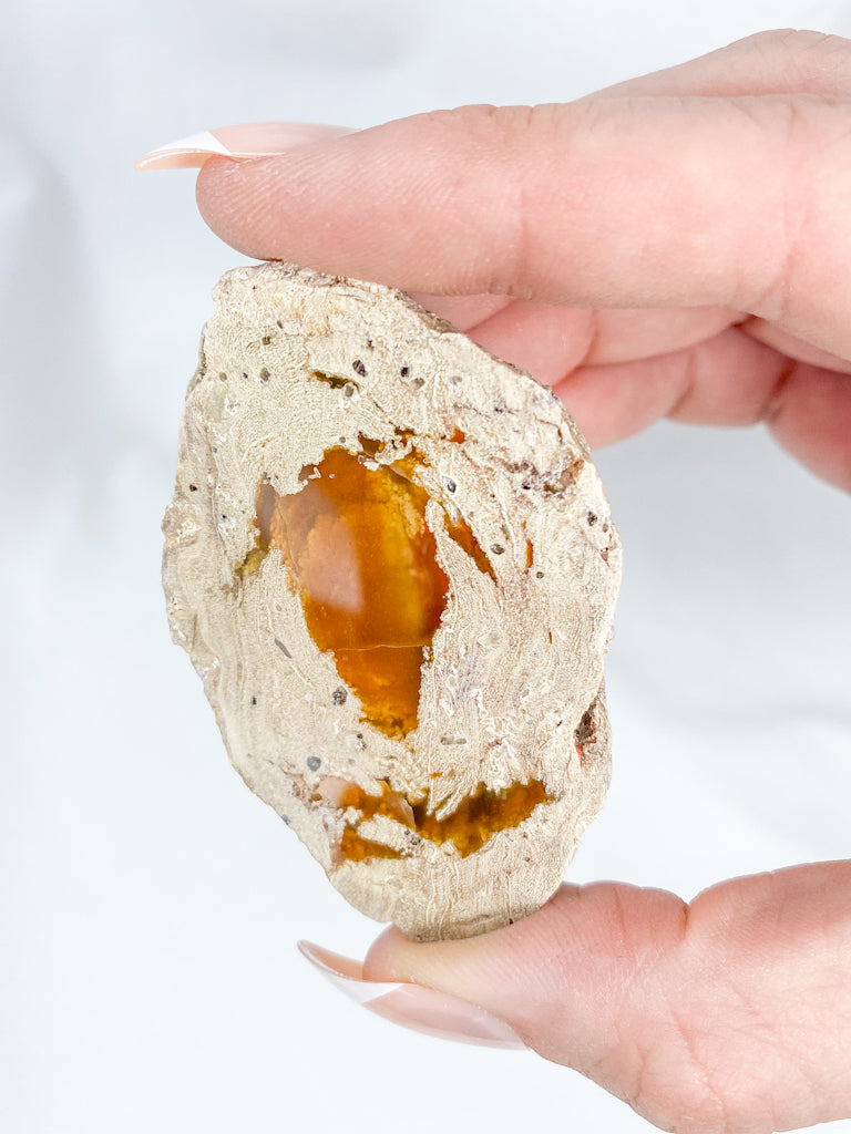 Agate ThunderEgg 61g