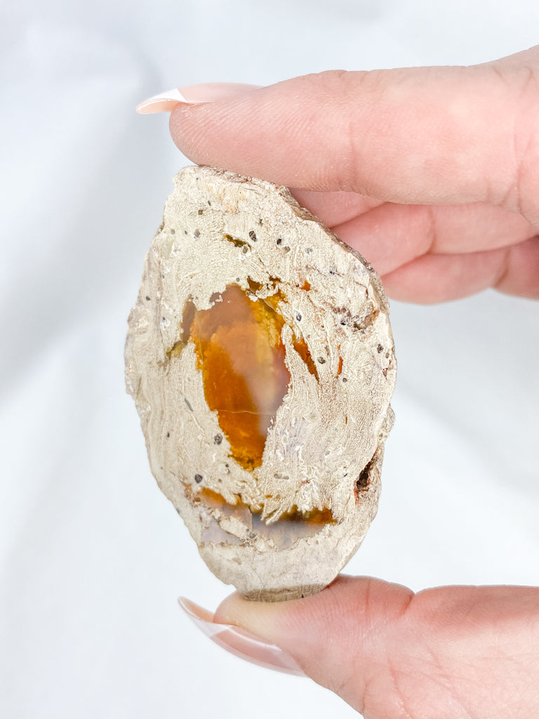 Agate ThunderEgg 61g