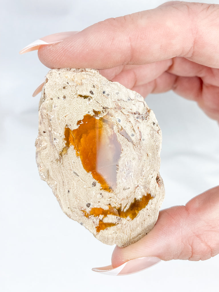 Agate ThunderEgg 61g