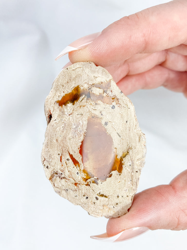 Agate ThunderEgg 61g