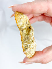 Agate ThunderEgg 51g