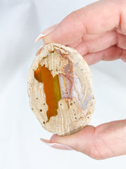 Agate ThunderEgg Cat 59g