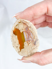 Agate ThunderEgg Cat 59g