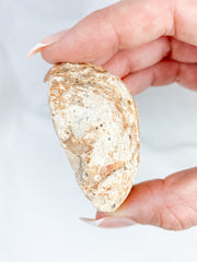 Agate ThunderEgg Cat 59g