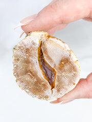 Agate ThunderEgg 89g