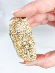 Agate ThunderEgg 89g