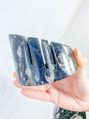 Orthoceras and Ammonite Business Card Holder 987g