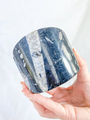 Orthoceras and Ammonite Business Card Holder 987g