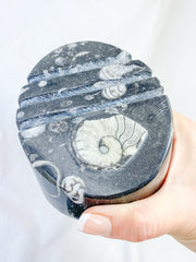 Orthoceras and Ammonite Business Card Holder 987g