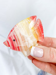 Tropical Onyx Fish Carving