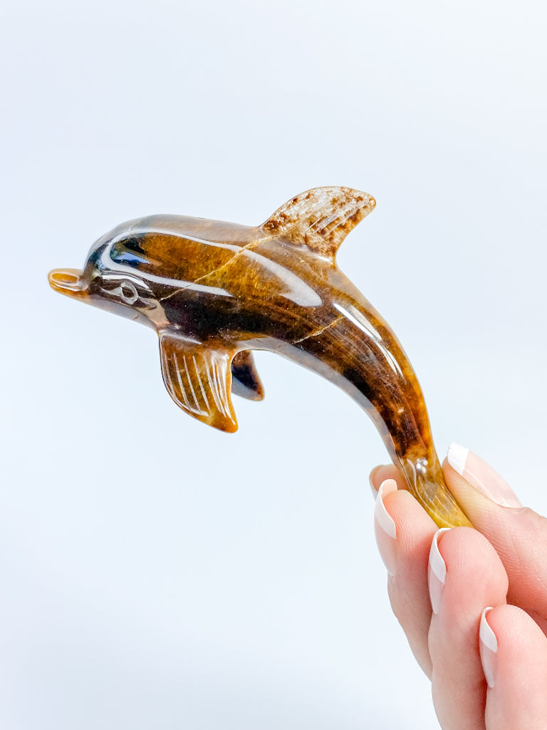 Tiger Eye Dolphin Carving