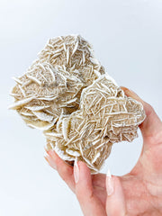 Desert Rose Selenite Cluster Statement Piece 859g