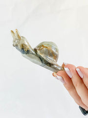 Jasper Snail Carving
