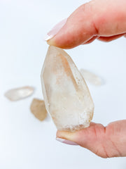 Pink Lemurian Natural | Large