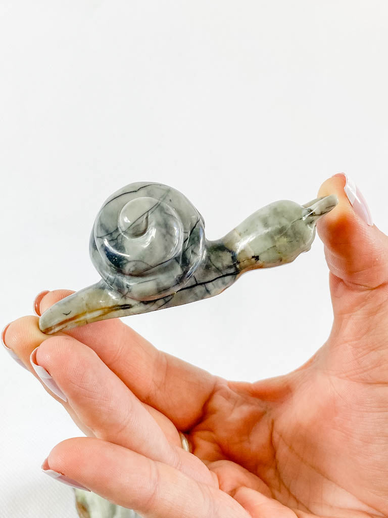 Jasper Snail Carving