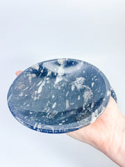 Orthoceras Bowl | XX Large