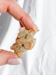 Aragonite Sputnik White | X Small