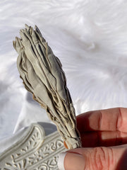 White GrandFather Sage | Small