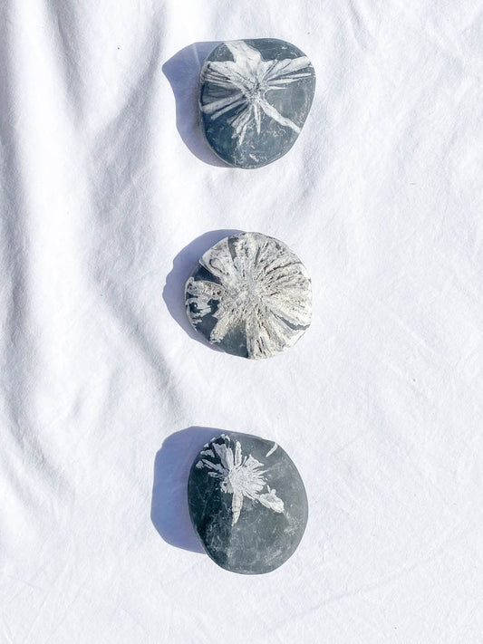 Chrysanthemum Natural Stone | X Large