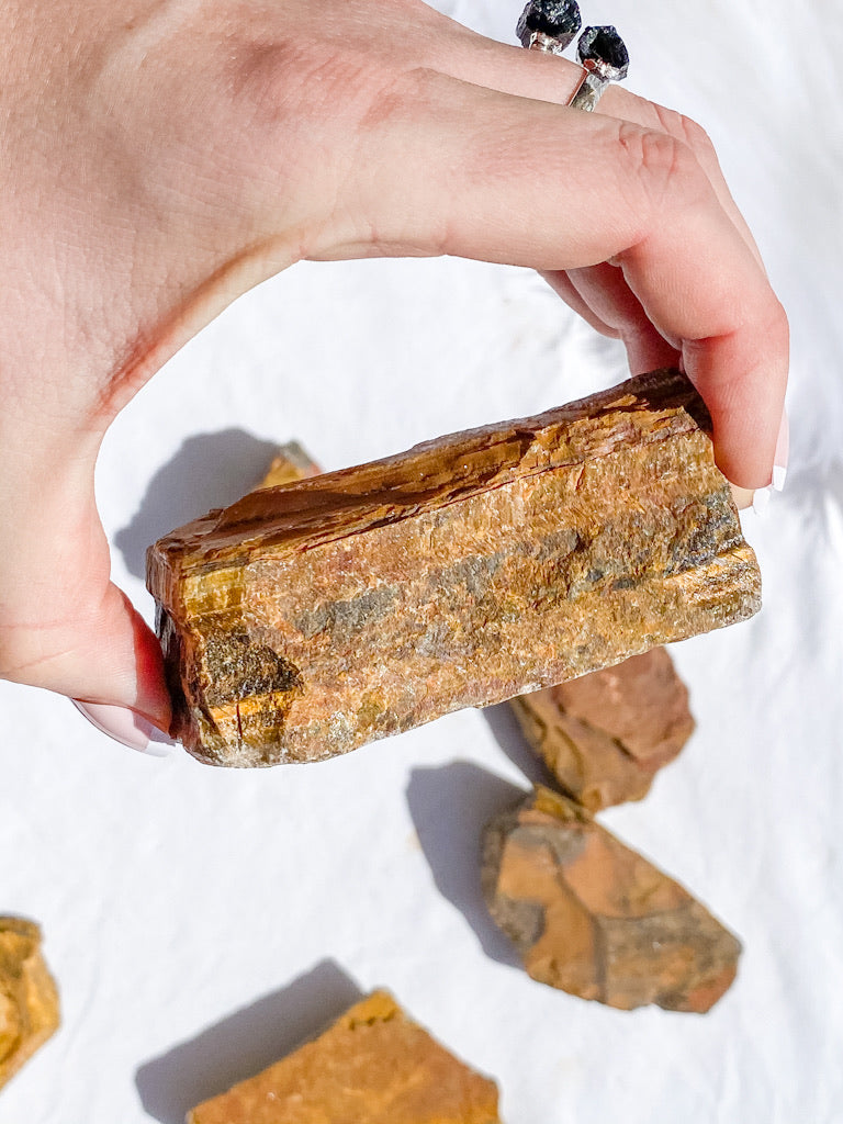 Tiger Eye Brown Natural | X Large