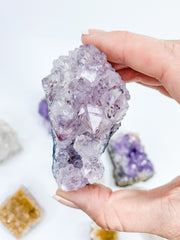 Divine Trio: Citrine + Clear Quartz + Amethyst | X Large