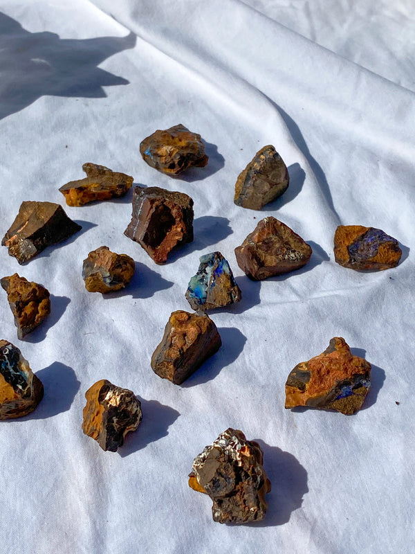 Boulder Opal Natural | Small