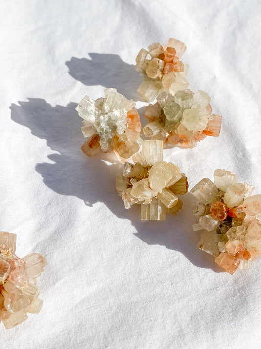 Aragonite Sputnik White | X Small